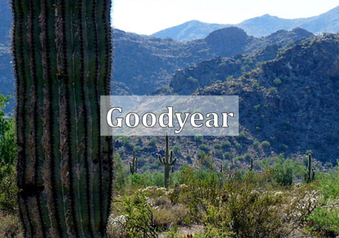 Goodyear