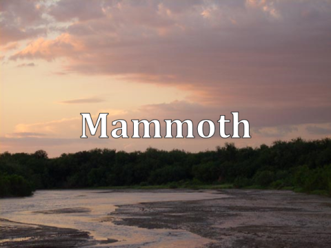 Mammoth