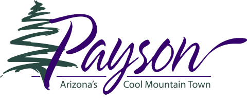 Payson logo